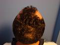 Before - Back