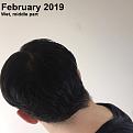 Feb2019 Crown