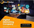 Digital marketing company www.bizzeonline.com post